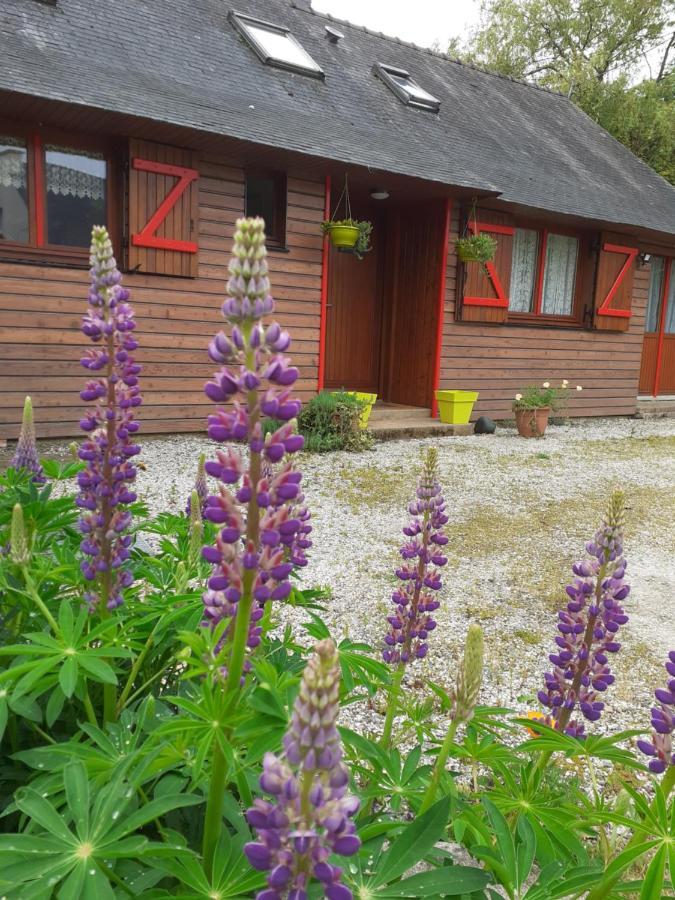 Chez Christine Bed & Breakfast Noyal-Pontivy Luaran gambar